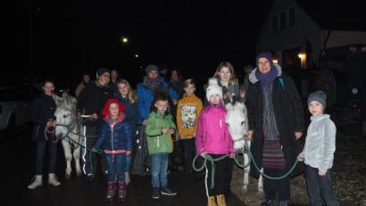 Bild: nad
Tierische Unterstützung bei der Weihnachtsfeier des OGV Angfeld.