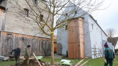 Bild: Schönberger
Freunde vom Weidener "Sündikat" schaufelten die Grube für den Walnussbaum in Neuhaus aus. Nach dem Einsetzen mittels Autokran bringen Profis ihn in die richtige Position.