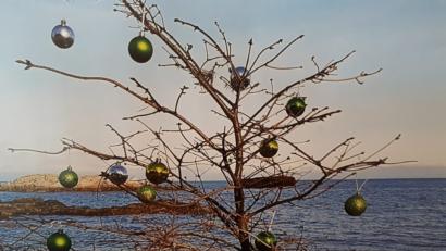 Bild: Bradtka
Ein kahler Laub- als Christbaum.
