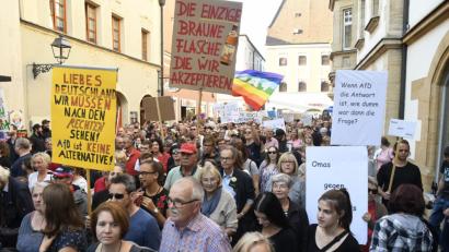 Bild: Petra Hartl
Demo im Oktober: Vom Marktplatz bis zum ACC demonstrieren laut Polizei ungefähr 300 Leute gegen die AfD.