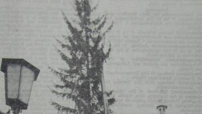 Repro: Petra Hartl
Der Ur-Kragl aus dem Jahr 1975. Bereits er war legendär hässlich. 25 Jahre später, im Jahr 2000, belustigte die Kragl-Affäre die Amberger.