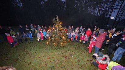 Bild: nib
Nach einer kurzen Wanderung versammelten sich die Kinder mit ihren Eltern um den Weihnachtsbaum und sangen weihnachtliche Lieder.