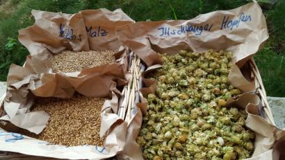 Bild: Barbara Ströll, Öko-Modellregion
Hopfen aus Illschwang und Biomalz aus der Oberpfalz sind die wichtigsten Zutaten für den Küchenbraukurs mit Hausbrauer Arno Diener.