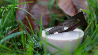 Bild: Marcel Kusch/dpa
Unbekannte haben Rasierklingen in einer Wurst versteckt.