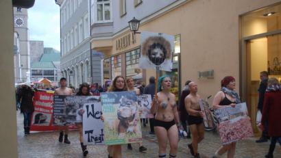 Bild: gib
Aufmerksamkeit war ihnen sicher: In Unterwäsche marschierten Tierschützer durch die Regensburger Altstadt, um gegen den Handel und Kauf von Pelz zu demonstrieren.