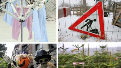 Bild: Peter Steffen, Bernd Wüstneck, Johannes Schmitt-Tegge, Karl Josef-Hildebrand/dpa
Warum? Auch 2018 sind in der Region wieder Sachen gestohlen worden, die ratlos machen. Wer kann schon eine komplette Baustellen-Beschilderung brauchen? Oder die Wäsche einer 78-jährigen Frau?