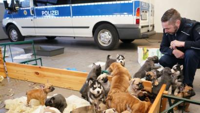 Bild: Franz Völkl
Die Bundespolizei heizte extra die Garage, damit kein Hund frieren musste. Rechts im Bild Bundespolizist Alexander Scheck.