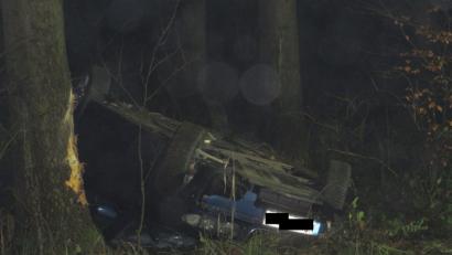 Bild: adj
Am Baum sind deutlich Spuren des Aufpralls zu erkennen.