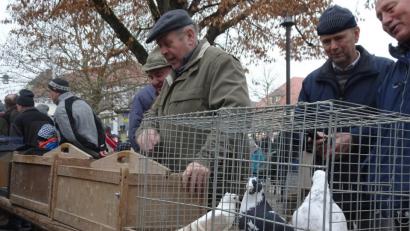 Bild: hm
Die Saison der Pfreimder Taubenmärkte ist eröffnet.
