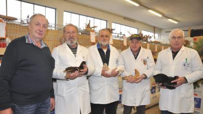 Bild: es
Die Preisrichter Josef Franz aus Kotzenbach, Josef Schießl aus Hundzell bei Kötzting, Dieter Korzendorfer aus Grundlitz und Anton Endler aus Mehlmeisel (von rechts) sind am Sonntagvormittag voll es Lobes über die züchterischen Leistungen. Ganz besonders freut das Vorsitzenden Johann Putzer (links).