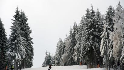 Bild: Arno Burgi/dpa
Symbolbild.