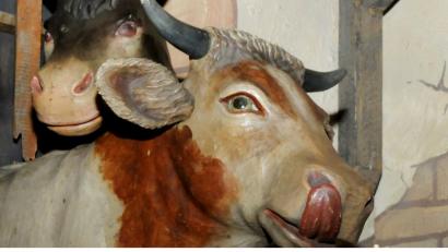 Bild: Stephan Huber
Streckt dieser Ochse dem Betrachter die Zunge raus? Und schaut dieser Esel in der Krippe in St. Georg nicht allzu spöttisch? Zumindest ein AZ-Redakteur wird das Thema, wer denn laut Bibel alles an der Krippe stand, in der das Jesukind lag, erst einmal meiden.