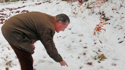 Bild: bsc
Die Trittsiegel von Luchsen sehen denen der Hauskatzen sehr ähnlich, nur sind sie deutlich größer. Die Kunst des Fährtenlesens beherrscht der Vorsitzende des Arbeitskreises Luchs, Eberhard Freiherr von Gemmingen-Hornberg (Bild), perfekt. Er ist derzeit viel im Steinwald unterwegs, um nach den scheuen Raubkatzen Ausschau zu halten.