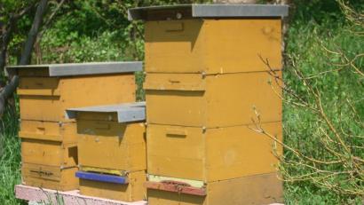 Bild: njn
Nach dem Vorsitzenden des Imkervereins, Klaus Schmidt, soll das Angebot „Probe-Imkern“ alle ansprechen, die sich demnächst eigene Bienenstöcke zulegen wollen.