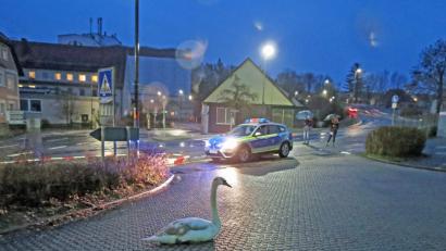 Bild: exb
Vor der Berufsschule an der Neumarkter Straße hielt sich am Sonntag dieser am Fuß verletzte Schwan auf. Die Polizei kümmerte sich um ihn.