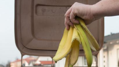 Bild: Armin Weigel/dpa
Ob Bananenschalen oder Tannenzweige, Teebeutel oder Reste vom Mittagessen: In der Tonne mit dem braunen Deckel ist Bioabfall gut aufgehoben.