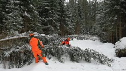 Bild: exb
Mitarbeiter des Forstbetriebs Fichtelberg räumen Schneebruch-Bäume von der Ringloipe am Ochsenkopf.
