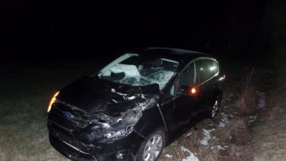 Bild: br
Das Auto erfasste das Pferd und landete auf der Wiese neben der Staatsstraße.