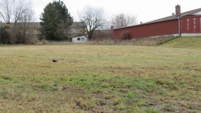 Bild: kö
Für die geplante Seniorenwohnanlage stellt die Stadt dieses Grundstück an der Ufertalstraße in Sichtweite zum Marienheim (hinten, linke Bildhälfte), zur Verfügung.