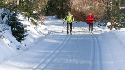 Bild: bsc
Optimale Bedingungen für Skilangläufer bietet derzeit das Loipennetz im Steinwald.