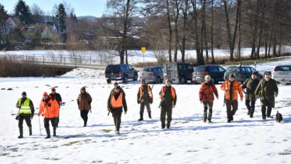 Bild: bey
Nahe der Kreisstraße nach Miesbrunn ziehen die Jäger noch in der Kette los, um sich später am Waldrand nahe der Ausgänge der Fuchsbauten zu positionieren. Mit dabei ist Hündin "Sora", die helfen soll, Meister Reineke aus seinem Bau zu treiben.