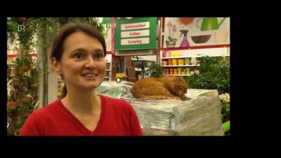 Bild: esa
"Stubenrein und kundenfreundlich": Kater Django lebt in einem Baumarkt in Starnberg.