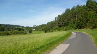 Bild: exb
In keinem guten Zustand ist die Verbindungsstraße zwischen dem Wasserwerk Schlögelsmühle und Pattershofen: Jetzt bezuschusst das Amt für Ländliche Entwicklung den Ausbau.