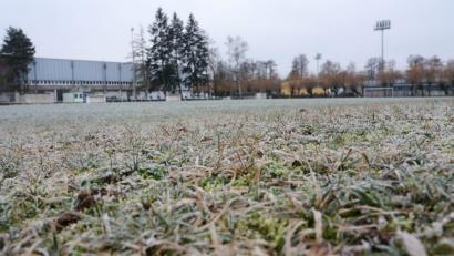 Bild: Gabi Schönberger
Hier hört man das Gras wachsen.Der B-Platz von SpVgg SV Weiden. soll nach den Wünschen der Vereine einen Kunstrasen erhalten. Der Stadtrat diskutiert das Thema am Montag.