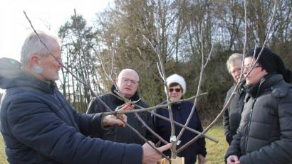 Bild: ads
Eduard Eckl (links) erklärt den Teilnehmern des Obstbaumschnittkurses zunächst die Grundstruktur des Oeschberg-Palmer-Schnitts.