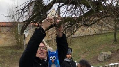 Bild: gz
Die Vogelhäuschen der Schüler hängen nun an den Ästen.