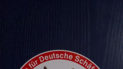 Bild: is
Die Hoffnung stirbt zuletzt: Wie es ausschaut, wird der Schäferhundeverein Pressath wieder „zum Leben erweckt“. Ein Gruppe engagierter Neumitglieder und einige Altgediente wollen dies wahr machen.