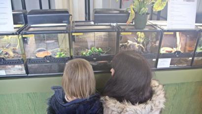 Bild: jma
Neugierig stehen die Kinder vor den geschlossenen Terrarien.