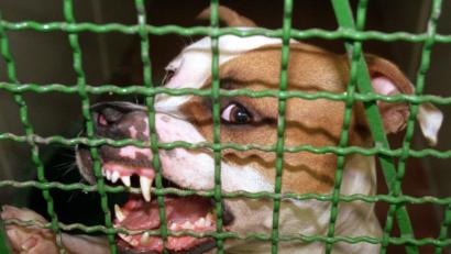 Bild: Rolf Rick/dpa
Symbolbild