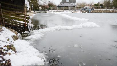 Bild: gsb
Auch in Neunkirchen ist der Weiher zugefroren, aber wohl noch nicht tragfähig. Dazu braucht es noch einige sehr kalte Tage und Nächte.