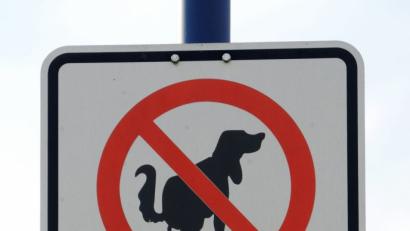 Bild:  Roland Holschneider/dpa
Immer häufiger werden in den Gemeinden Schilder aufgestellt, um das Hundekotproblem in den Griff zu bekommen.