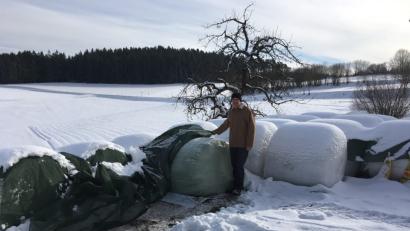 Bild: ihl
Die Silage ist deutlich geschrumpft. In fetteren Jahren lagert hier um diese Zeit noch die doppelte Menge. Josef Irlbacher geht davon aus, dass er über die Runden kommt.