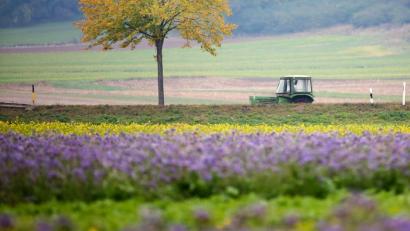 Bild: Thomas Warnack/dpa
Viele junge Landwirte sehen durch das Volksbegehren Artenvielfalt ihre Existenz bedroht.