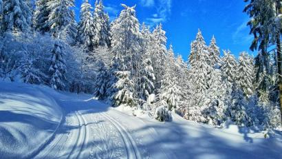 Bild: Werner Schuster
Winter im Steinwald