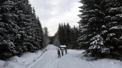 Bild: mor
Eine verschneite Winterlandschaft und ein gut gespurtes Loipennetz bietet sich den Langläufern im Hessenreuther Wald. Die Zufahrt zum Aspann ist von der Pressather Seite auch frei.