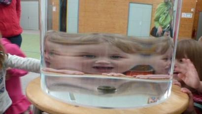 Bild: exb
Für das mobile Erfahrungsfeld der Sinne werden Mitarbeiter gesucht.