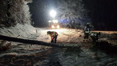 Bild: Feuerwehr
Die Feuerwehr Freudenberg-Wutschdorf beseitigt am Sonntagabend bei heftigem Schneefall umgestürzte Bäume.