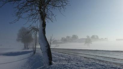 Bild: Gabi Schönberger
Der Winter hat die Oberpfalz erreicht.