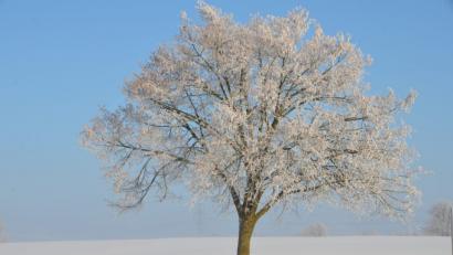 Bild: dob
Sitzbank an der Sonne.
