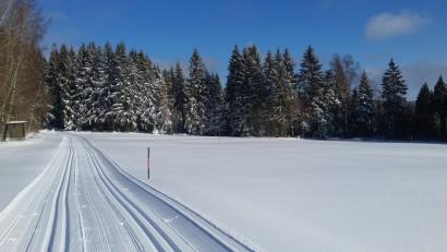 Bild: Werner Schuster
Nach den Schnefällen ist die Langlaufloipe im Steinwald gespurt.
