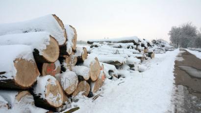 Bild: Gabi Schönberger
Etwa 100 Bäume am Flutkanal wurden abgeholzt. „Rodungsstopp!“, fordert der Bund Naturschutz. „Hochwasserschutz“, nennt das Wasserwirtschaftsamt als Ursache. Für über 2 Millionen Euro wird ein neuer Düker angelegt. Mit dieser Leitung kann die Waldnaab den Flutkanal unterqueren.