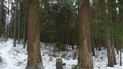 Bild: exb
Das Pürner-Denkmal wird von zwei mächtigen Douglasien gesäumt.