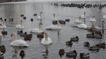 Bild: Benkhardt
Bilderbuchwinter im Frühjahr 2019 im Landkreis Tirschenreuth.