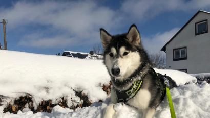Bild: Angelika Würner
Eure schönsten Tierbilder.