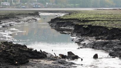 Bild: rn
Nach dem Absenken des Wasserpegels im Rußweihers und dem anschließenden Ablassen des Obersees werden die enormen Schlammablagerungen im westlichen Teil des Freizeitsees deutlich.
