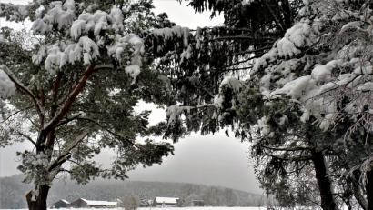 Bild: jml
Bilder, die nur die Natur so schön malt.